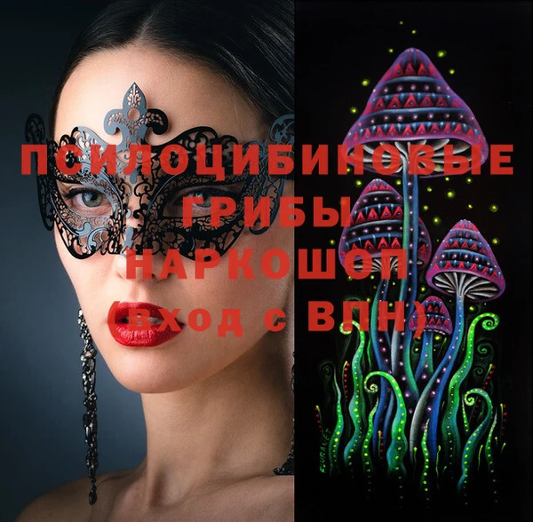 apvp Беломорск