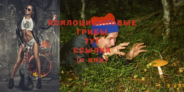 apvp Беломорск
