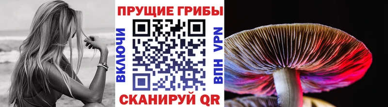 Псилоцибиновые грибы Cubensis  Вуктыл 